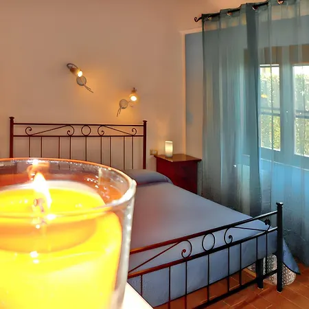 Charming In 28 M² Terrace Apartment